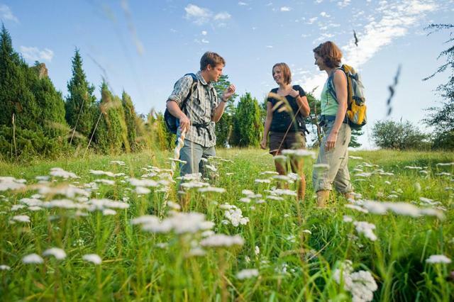 Nengshof Ferienhaeuser Sonnenblume Und Heublume Wißmannsdorf Dış mekan fotoğraf